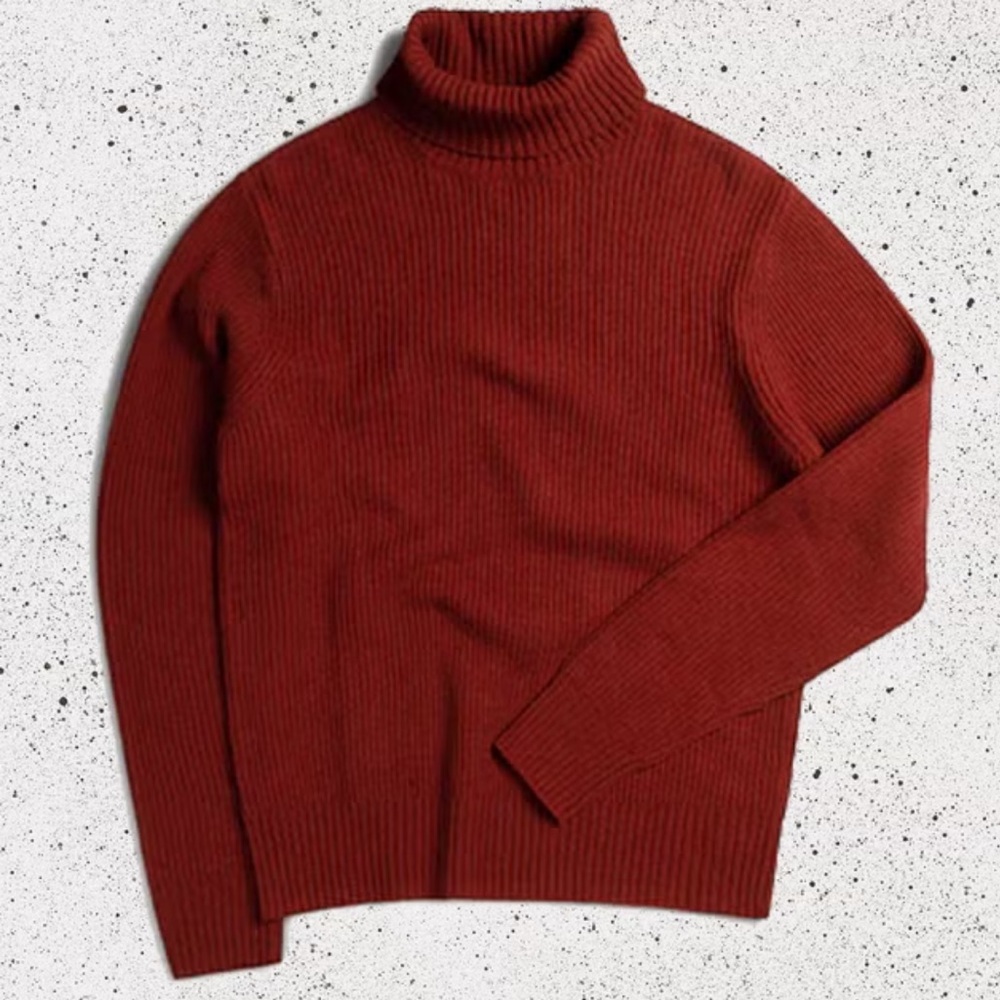 Percival Men's Deep Rust Turtleneck wool Sweater